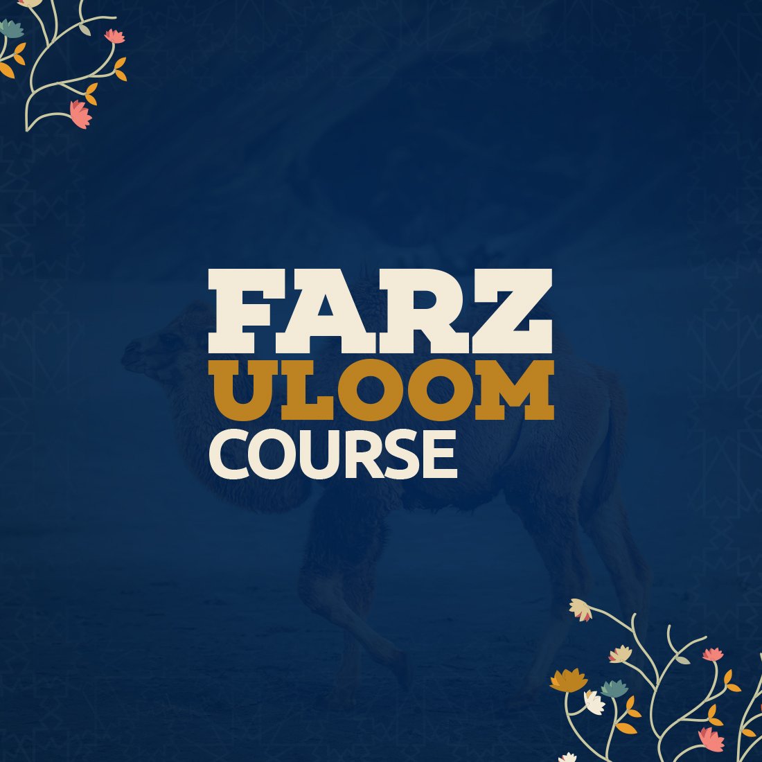 Faizan e haram